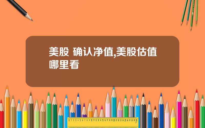 美股 确认净值,美股估值哪里看